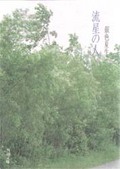 流星の人
